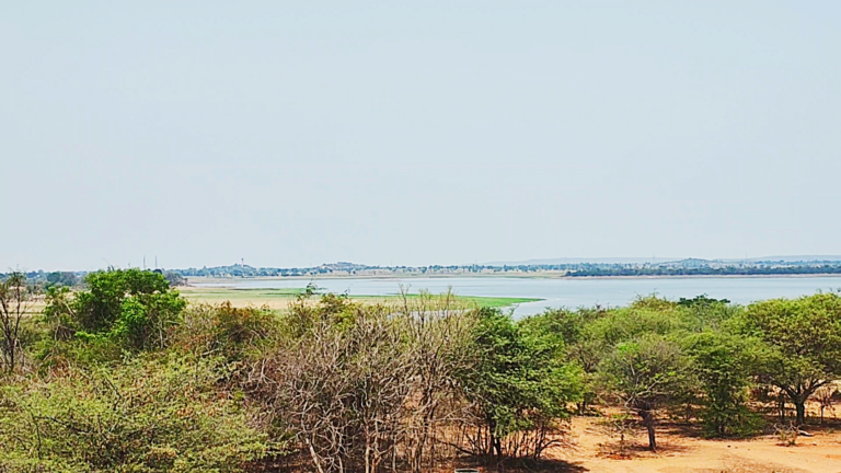 Pocharam Dam